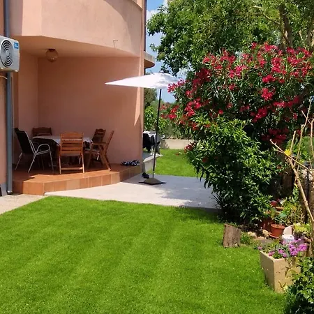 Apartment Ana